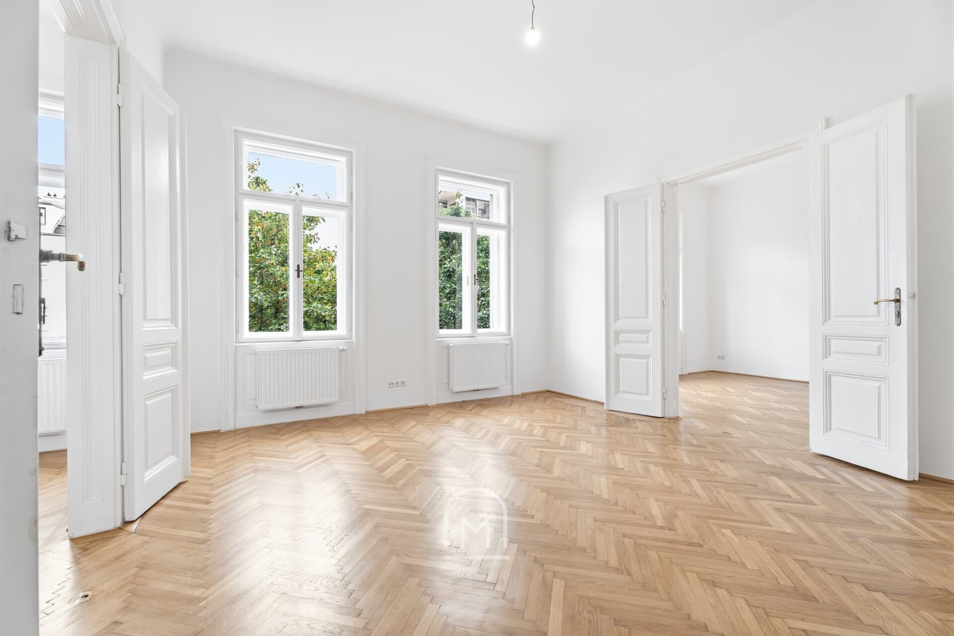 4 Zimmer Altbautraum in der Widerhofergasse